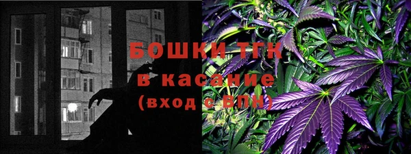 стаф Балахна
