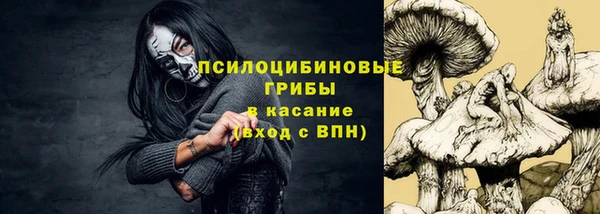 стаф Балахна